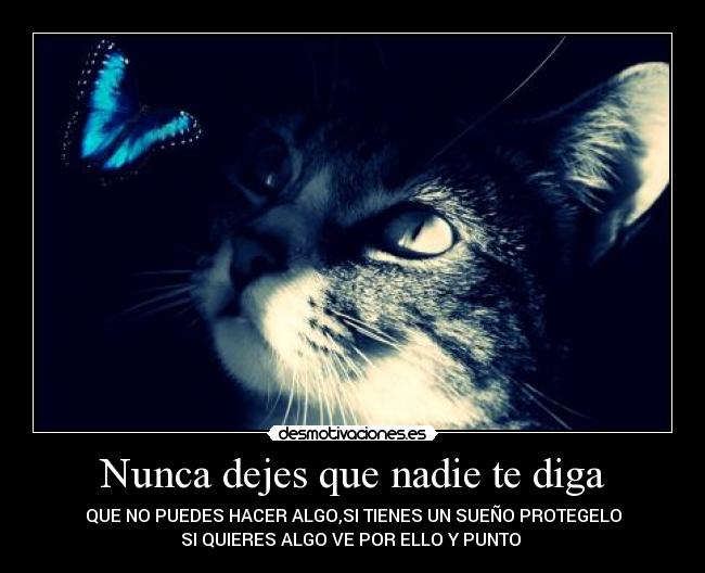 carteles nunca desmotivaciones