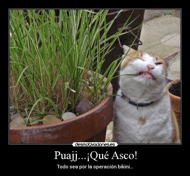 Puajj...¡Qué Asco! - 