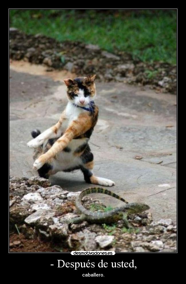 - Después de usted, - caballero.