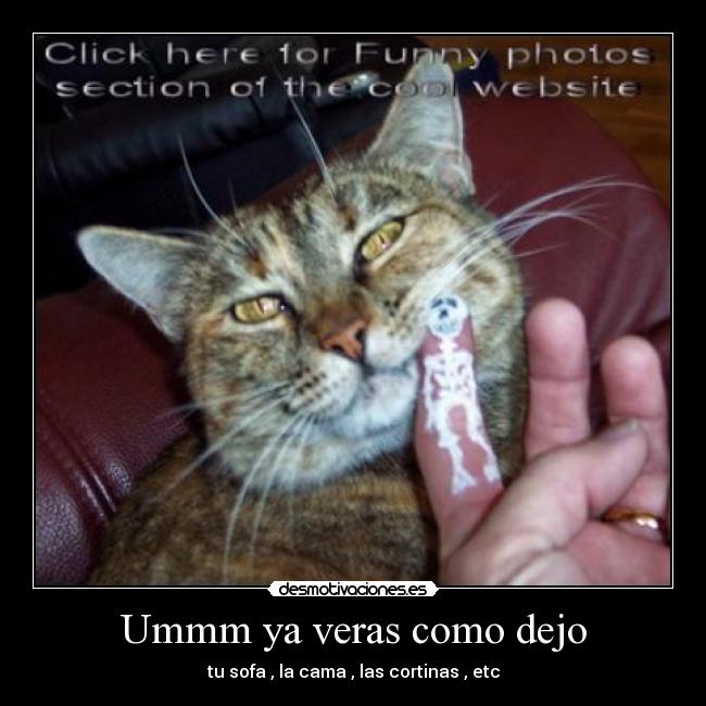 Ummm ya veras como dejo - tu sofa , la cama , las cortinas , etc