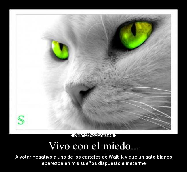 Vivo con el miedo... - A votar negativo a uno de los carteles de Walt_k y que un gato blanco
aparezca en mis sueños dispuesto a matarme