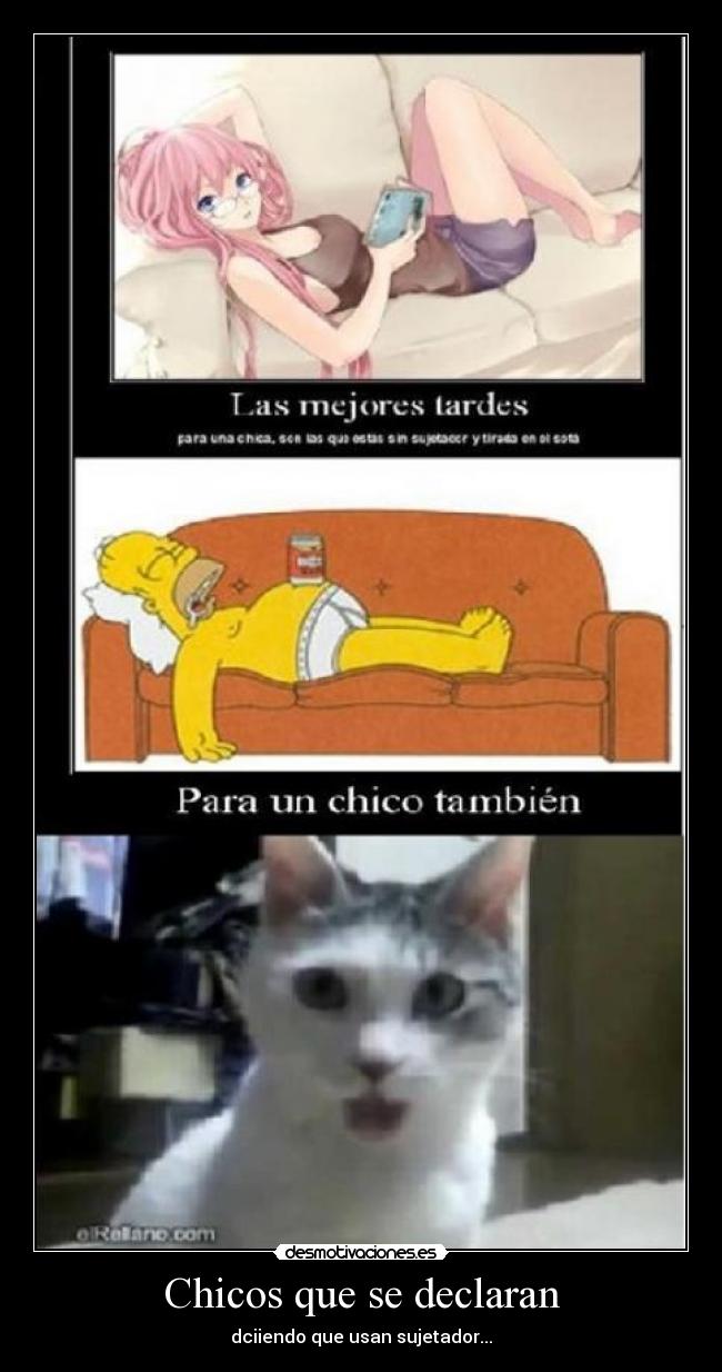 Chicos que se declaran - 