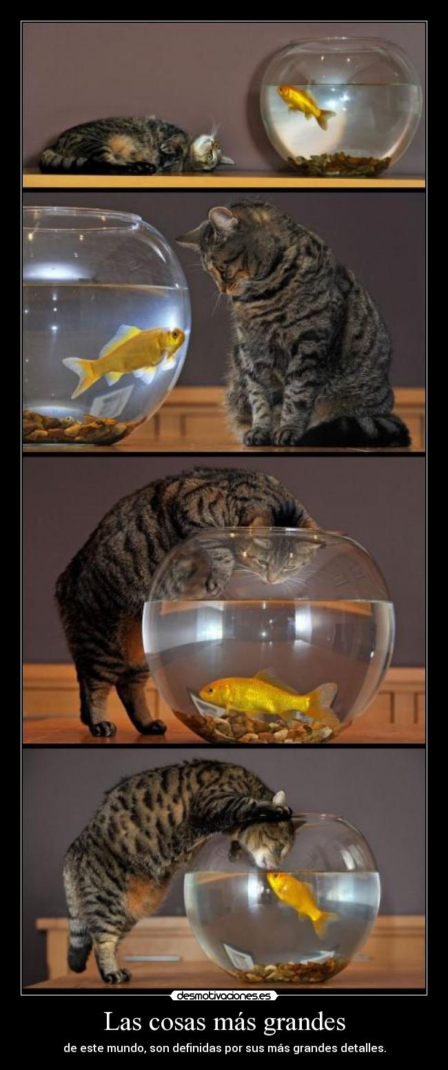 Las cosas más grandes - 