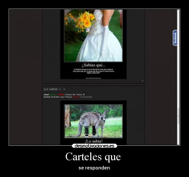 Carteles que - se responden