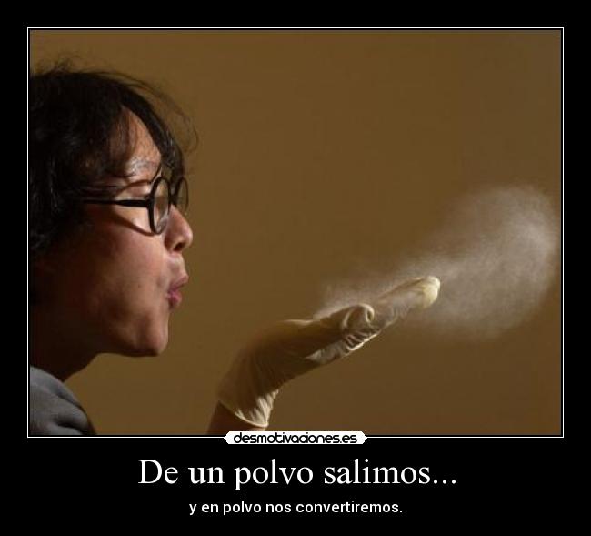 carteles polvo desmotivaciones