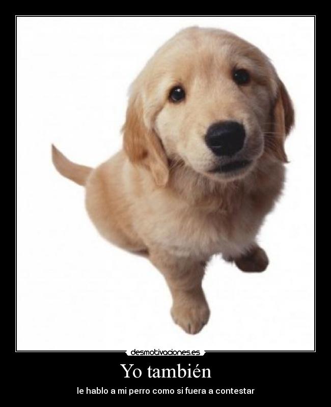 Yo también - le hablo a mi perro como si fuera a contestar