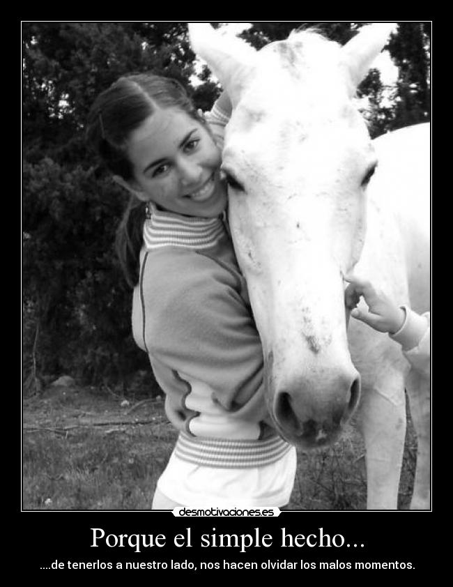 Porque el simple hecho... - ....de tenerlos a nuestro lado, nos hacen olvidar los malos momentos.