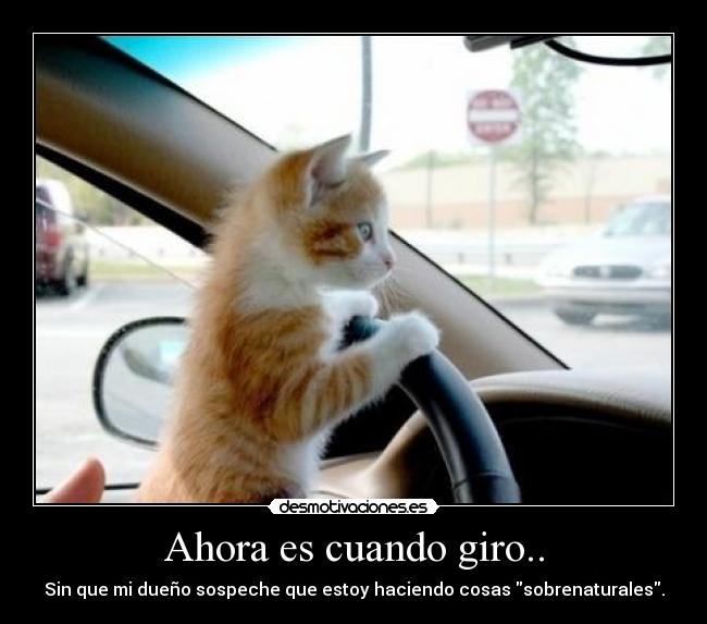 Ahora es cuando giro.. -
