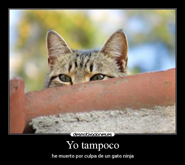 Yo tampoco - 