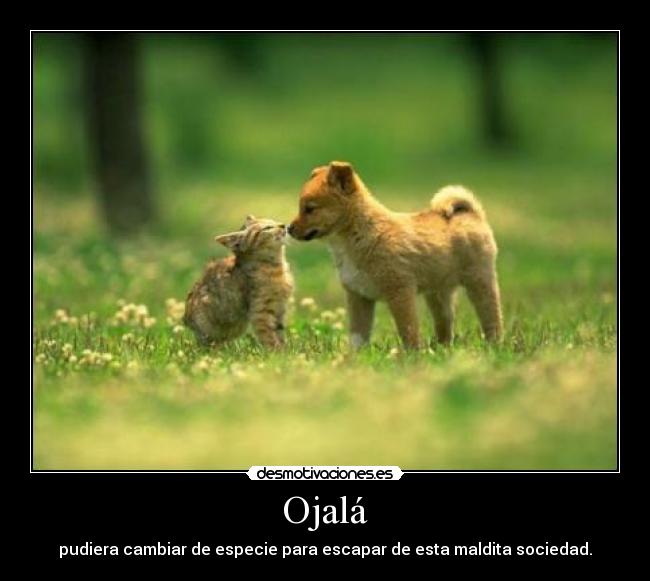 Ojalá - pudiera cambiar de especie para escapar de esta maldita sociedad.