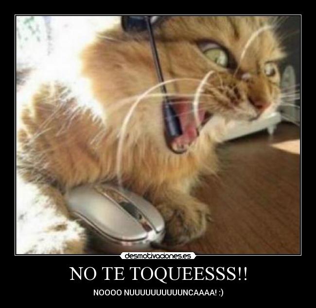 NO TE TOQUEESSS!! - NOOOO NUUUUUUUUUUNCAAAA! :)