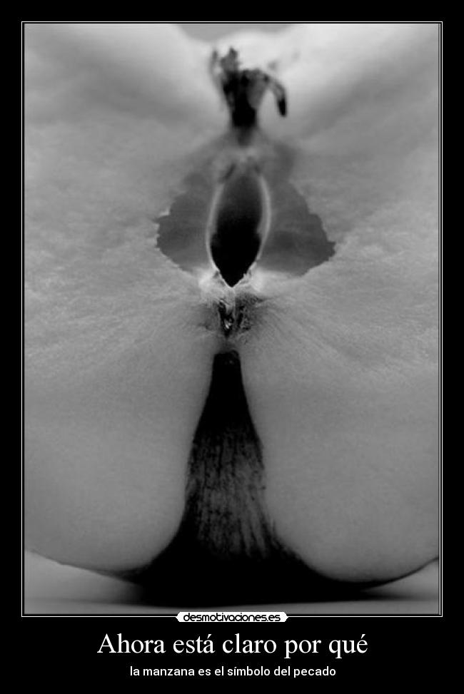 Ahora está claro por qué -