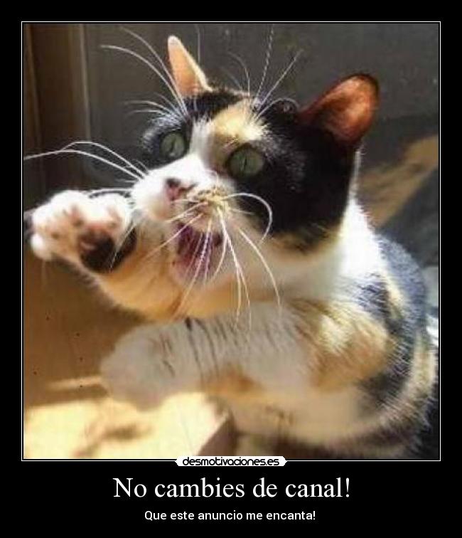 No cambies de canal! - Que este anuncio me encanta!