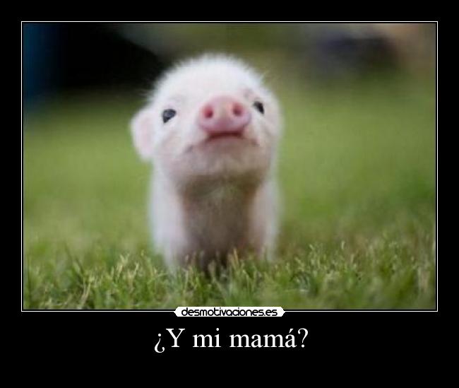 ¿Y mi mamá? - 