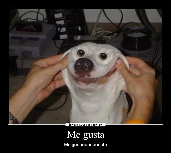 Me gusta -