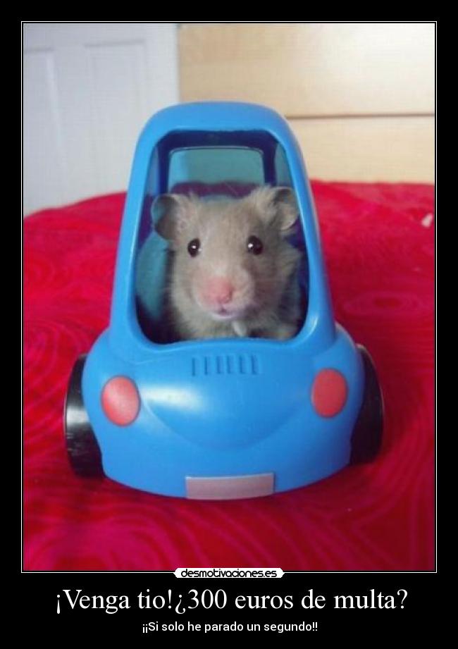 ¡Venga tio!¿300 euros de multa? -