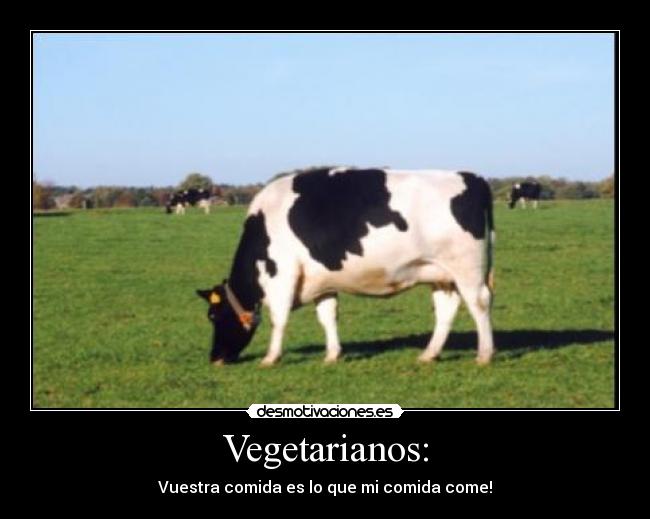 Vegetarianos: -