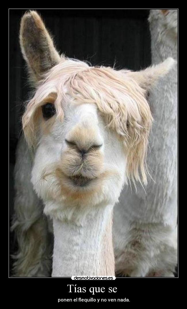 Tías que se -