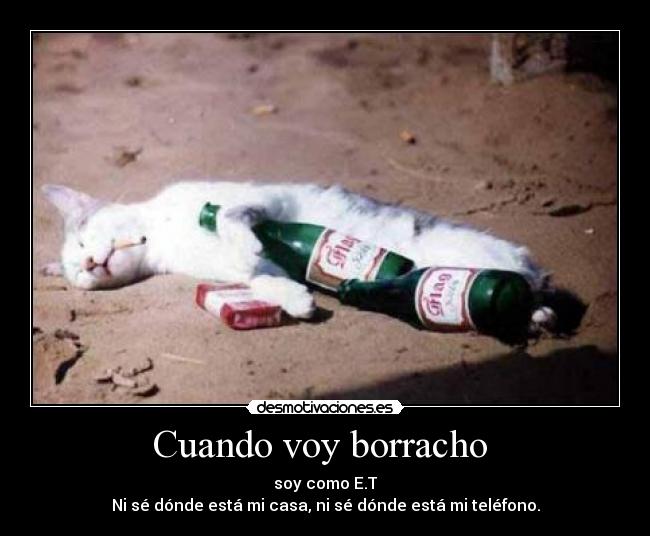 Cuando voy borracho -