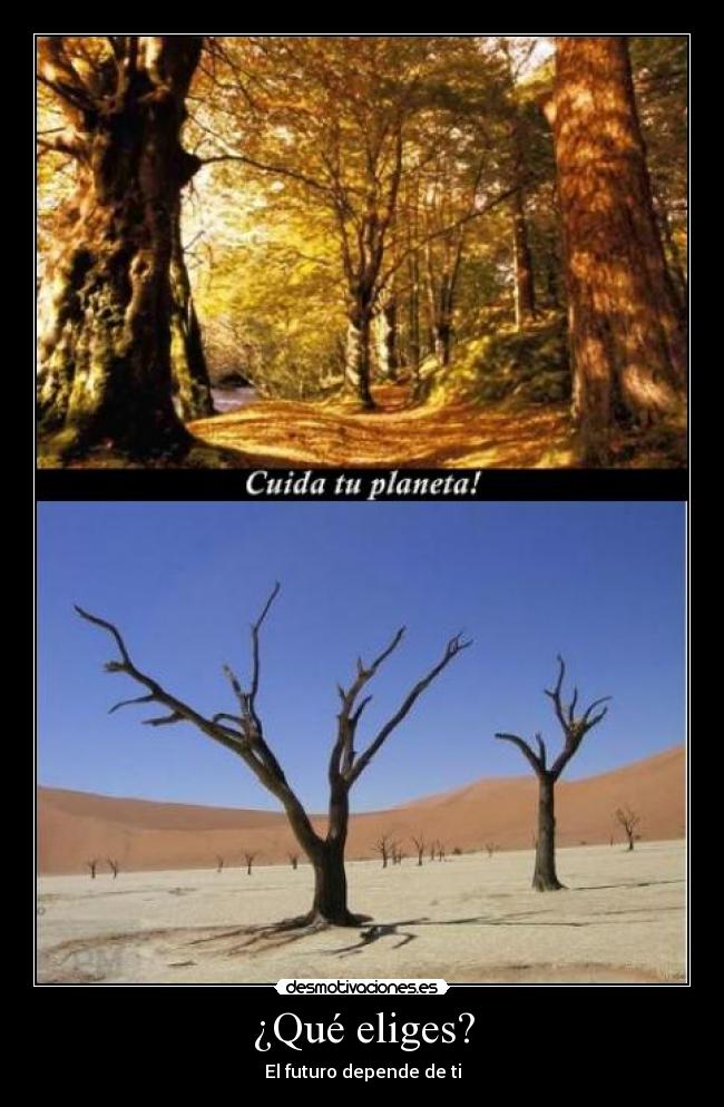 ¿Qué eliges? - El futuro depende de ti