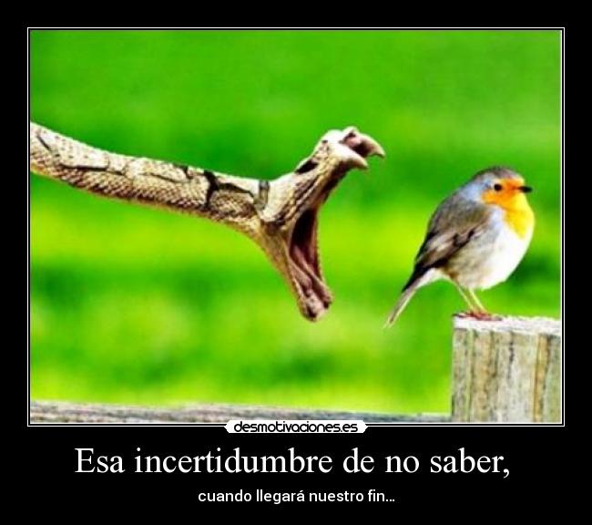 Esa incertidumbre de no saber,  - 