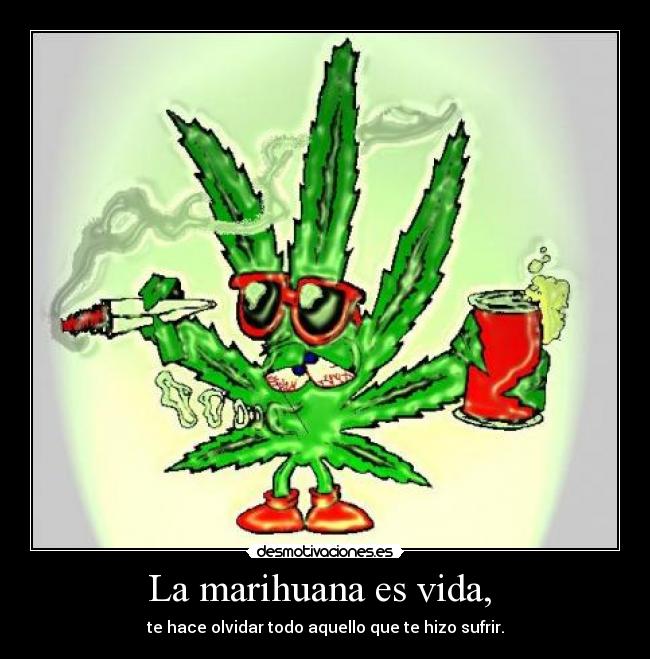 La marihuana es vida, -