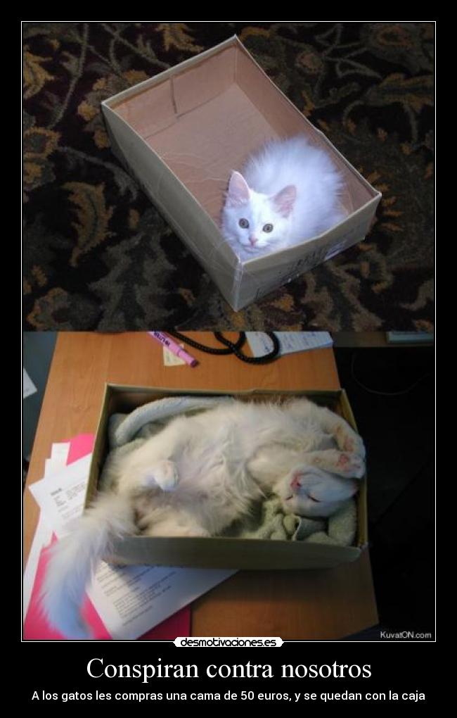 Conspiran contra nosotros - 