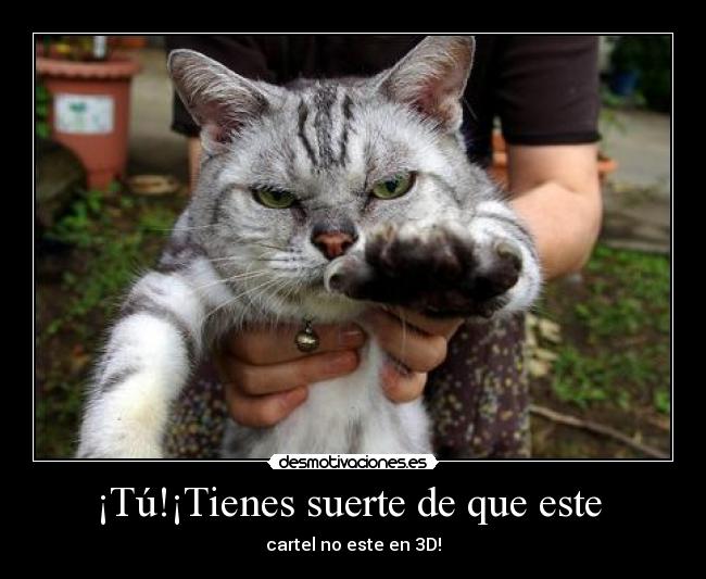 ¡Tú!¡Tienes suerte de que este  - 