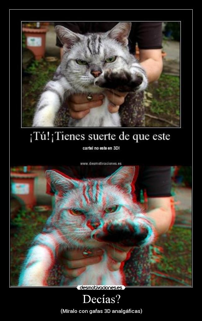 carteles gato 3d decias desmotivaciones