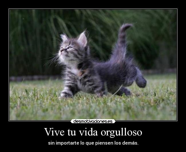 Vive tu vida orgulloso -