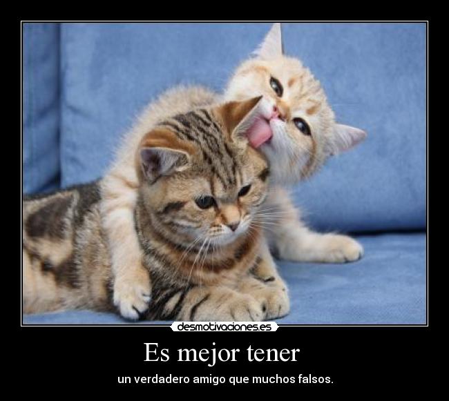 Es mejor tener  - un verdadero amigo que muchos falsos.
