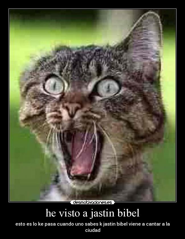 carteles esto pasa cuando uno sabe jastin bibel viene cantar ciudad desmotivaciones