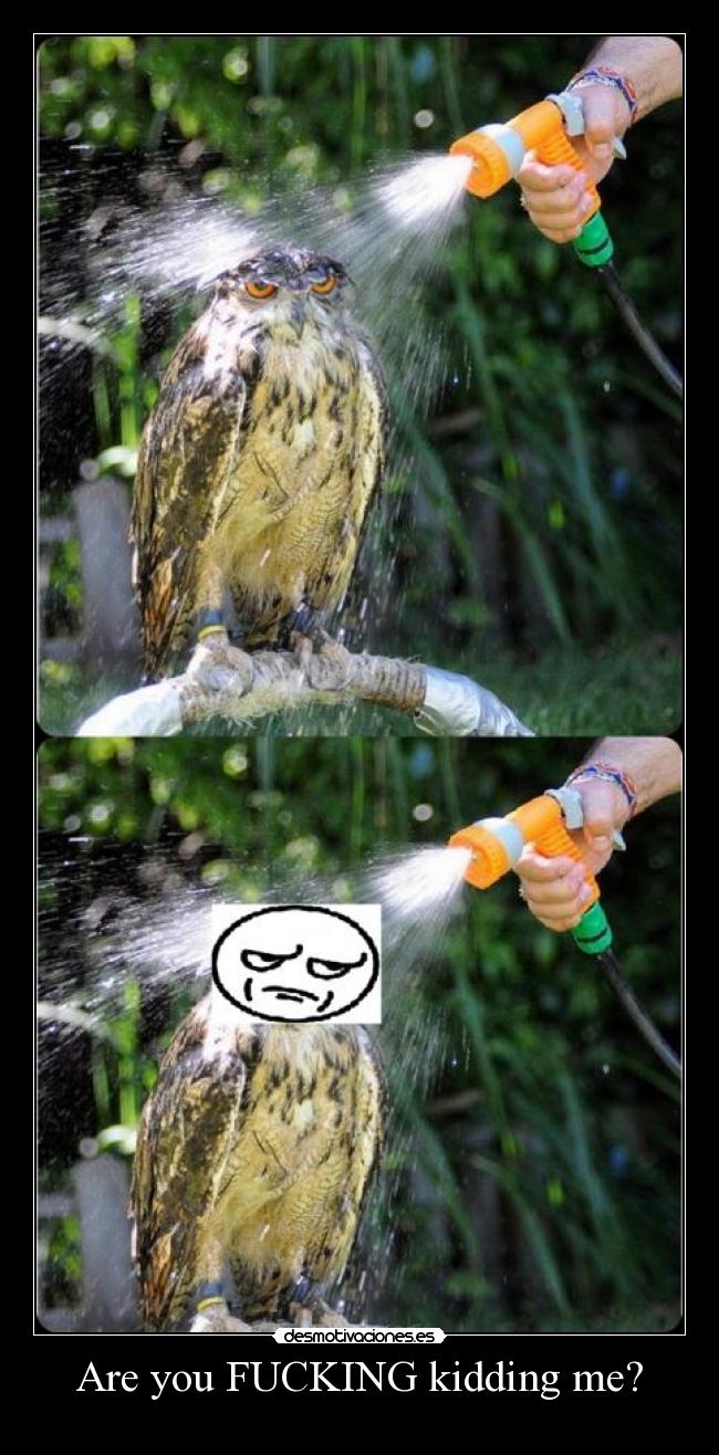 Are you FUCKING kidding me? -