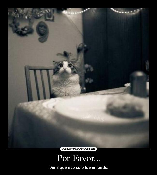 Por Favor... - 