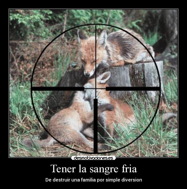 Tener la sangre fria - De destruir una familia por simple diversion