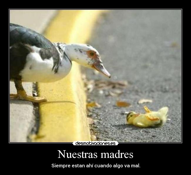 Nuestras madres -