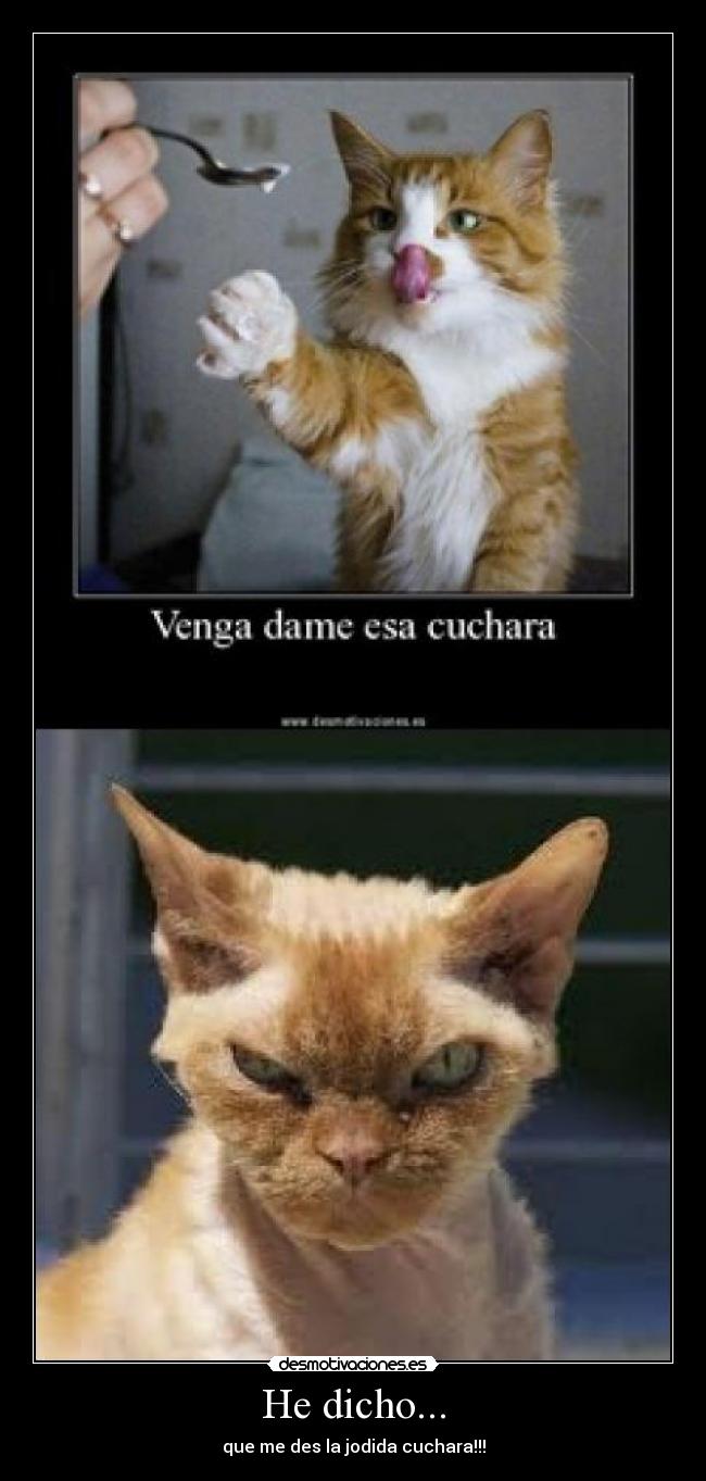 He dicho... - que me des la jodida cuchara!!!