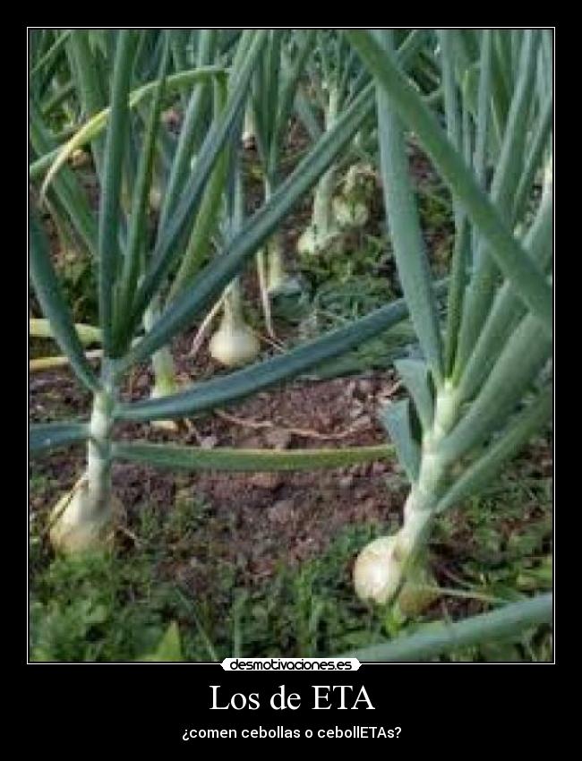 Los de ETA - ¿comen cebollas o cebollETAs?