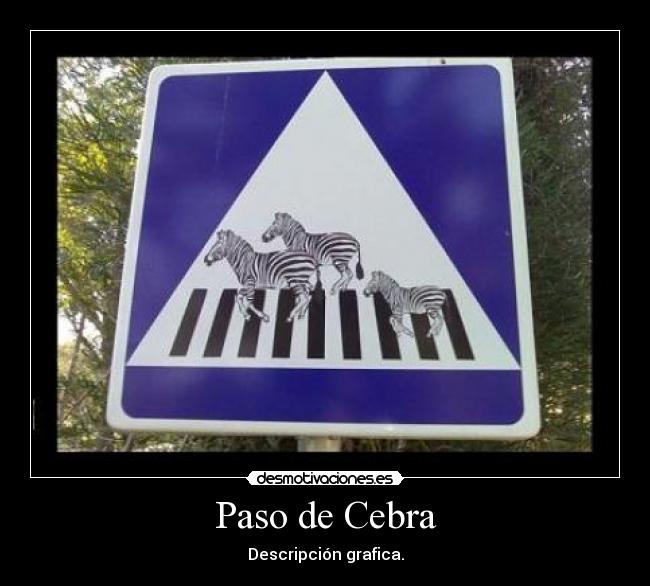 Paso de Cebra - 