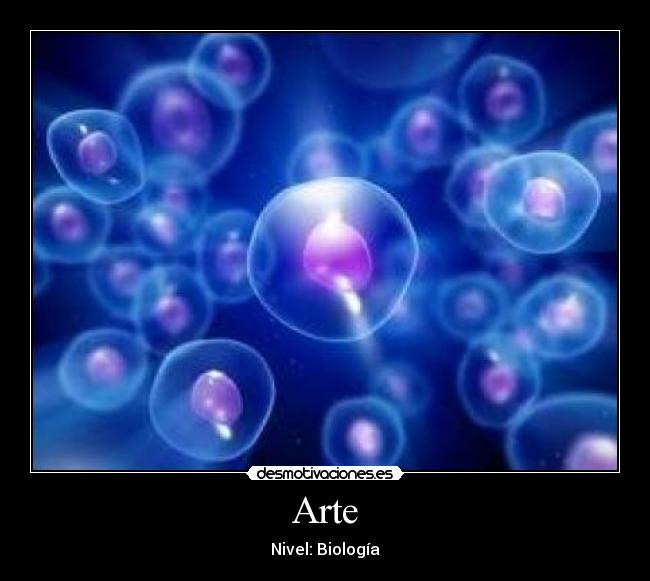 Arte -