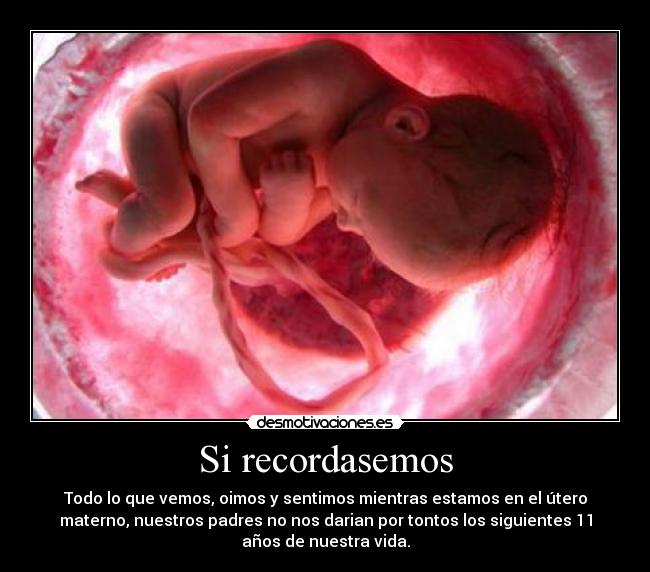 FETOS IMAGENES fetos imagenes: