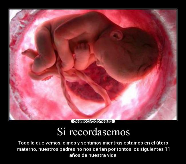 Si recordasemos - 