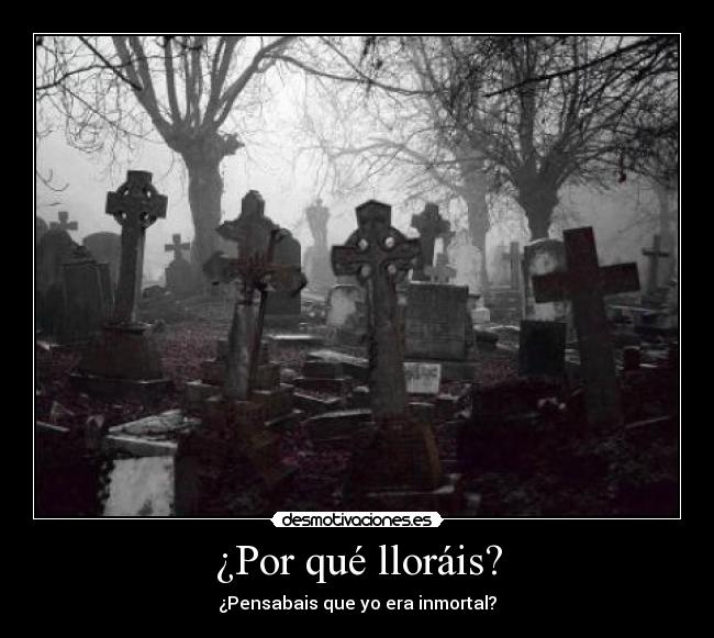 ¿Por qué lloráis? - ¿Pensabais que yo era inmortal?