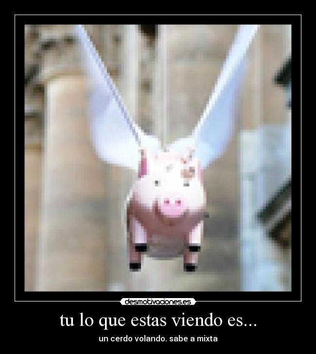 tu lo que estas viendo es... -