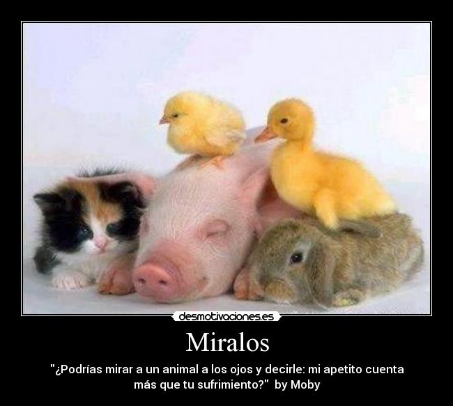 carteles miralos dirias desmotivaciones