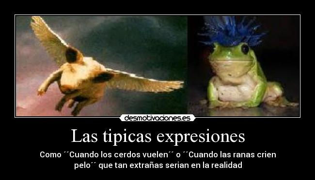Las tipicas expresiones - Como ´´Cuando los cerdos vuelen´´ o ´´Cuando las ranas crien
pelo´´ que tan extrañas serian en la realidad