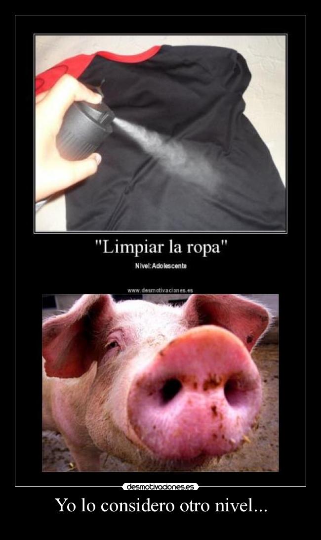 carteles limpiar ropa cerdo desmotivaciones