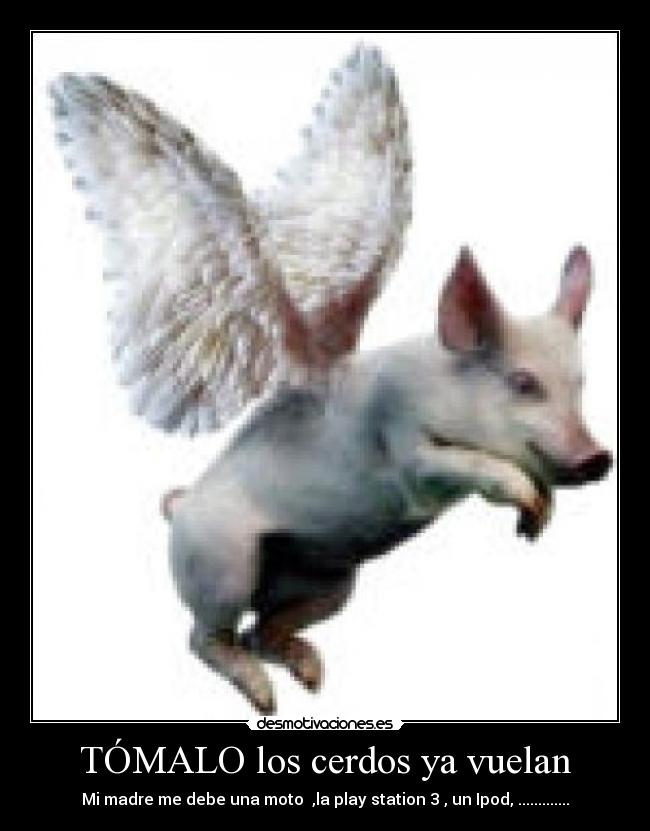 TÓMALO los cerdos ya vuelan -
