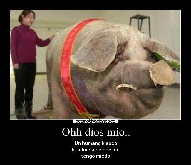 Ohh dios mio.. -