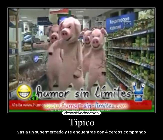 Típico - vas a un supermercado y te encuentras con 4 cerdos comprando